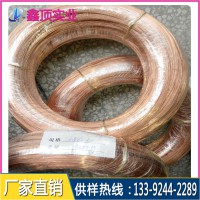 c17200鈹銅線廠家 qbe2.0鈹銅絲硬度 鈹銅絲價(jià)格