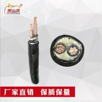 爬山虎牌YJV22 2等芯雙絞線無氧銅花線燈頭線家用電線